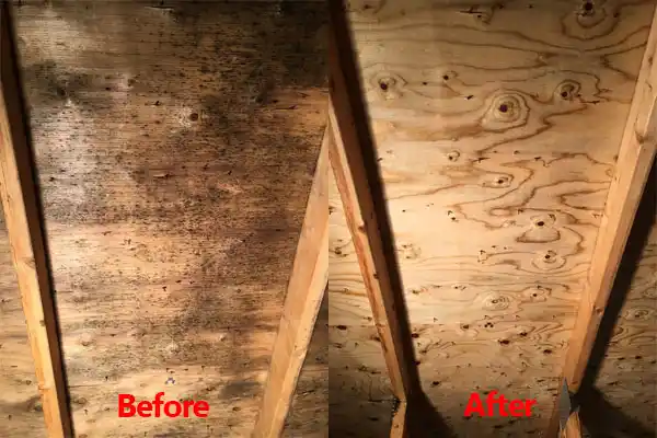 water damage restoration service Biddeford